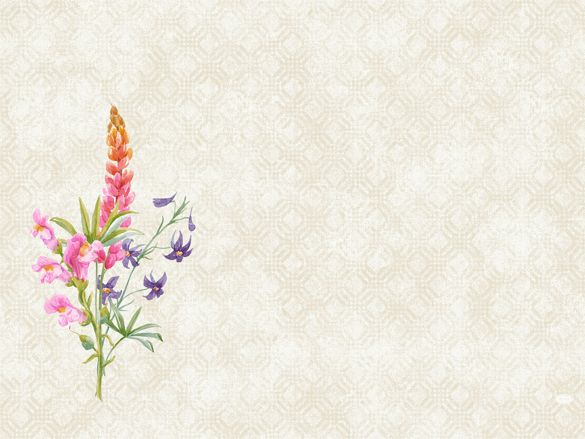 Duni Placemats D-Cel 30x40 Floret