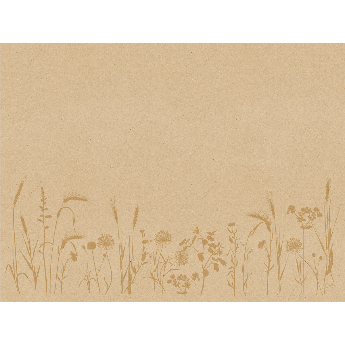 Duni Placemats Recycle 30x40 Meadow Natura