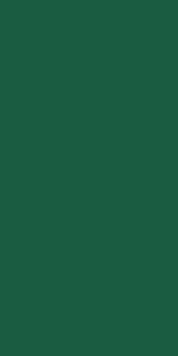 Duni Servet 33x33 2lgs 1/8 vouw groen